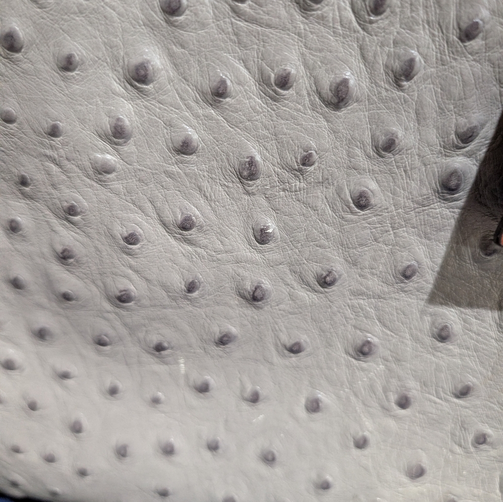 Dooney & Bourke Ostrich Leather Gray and Brown Tote - Picture 6 of 17